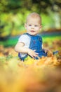 beautiful blue-eyed child in the fall on a carpet of yellow red leaves Royalty Free Stock Photo