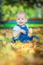 Beautiful blue-eyed child in the fall on a carpet of yellow red leaves Royalty Free Stock Photo