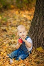 Beautiful blue-eyed child in the fall on a carpet of yellow red leaves Royalty Free Stock Photo