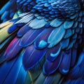 Beautiful blue feathers of a macaw. Close-up.
