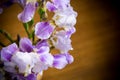 Beautiful blue fleuret- Iris. It is on wooden background Royalty Free Stock Photo