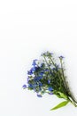 Beautiful blue flowers in a postal envelope