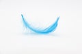 Beautiful blue fluffy bird feather on a white background Royalty Free Stock Photo