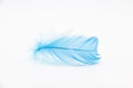 Beautiful blue fluffy bird feather on a white background Royalty Free Stock Photo