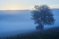 Beautiful blue fog in the morning. Foggy view with trees. Hills of the Beskids, Poland Royalty Free Stock Photo