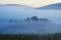 Beautiful blue fog in the morning. Foggy view with trees. Hills of the Beskids, Poland