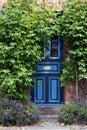 Beautiful blue front door in an old brick house overgrown Royalty Free Stock Photo