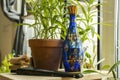 beautiful blue glass bottle with gold decorative details surrounded by pots and plants Royalty Free Stock Photo