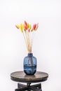 Beautiful blue glass vase with decorative dried plant branches for decoration Royalty Free Stock Photo