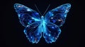 beautiful blue glowing butterfly at black background, colorful light fantasy illustration