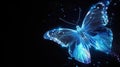 beautiful blue glowing butterfly at black background, colorful light fantasy illustration Royalty Free Stock Photo