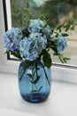 Beautiful blue hortensia flowers in vase on window sill indoors Royalty Free Stock Photo