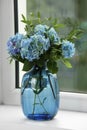 Beautiful blue hortensia flowers in vase on window sill indoors Royalty Free Stock Photo