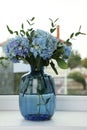 Beautiful blue hortensia flowers in vase on window sill indoors Royalty Free Stock Photo