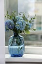 Beautiful blue hortensia flowers in vase on window sill indoors Royalty Free Stock Photo
