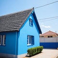 a beautiful blue house with white siding and a grey roof.