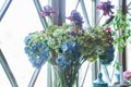 Beautiful blue hydrangea flowers in a glass vase on the background of the window.Beautiful bouquet of flowers in a vase Royalty Free Stock Photo