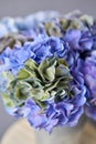 Beautiful blue hydrangea flowers in a vase on a table . Bouquet of light pink flower. Decoration of home. Wallpaper and Royalty Free Stock Photo