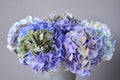 Beautiful blue hydrangea flowers in a vase on a table . Bouquet of light pink flower. Decoration of home. Wallpaper and Royalty Free Stock Photo