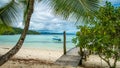 Beautiful Blue Lagoone with a Palmtree in Front, Gam Island, West Papuan, Raja Ampat, Indonesia