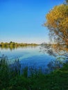 A beautiful blue lake in late summer. In the foreground, lush green grass. To the right, a tree with yellowing leaves.