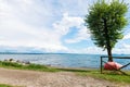 Beautiful blue lake and lonely tree Royalty Free Stock Photo