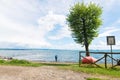 Beautiful blue lake and lonely tree Royalty Free Stock Photo