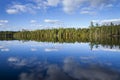 Beautiful blue lake in northern Minnesota with pines on the shore and clouds reflecting in calm water