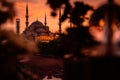 Blue mosque in sunset, Istanbul, Turkey Royalty Free Stock Photo