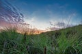 Beautiful blue and orange colors of the sun setting behind a dune, during sunset. Grass in foreground Royalty Free Stock Photo