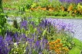 a beautiful blue and orange perenial garden with Salvia.