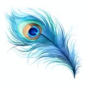 beautiful blue peacocks feather clipart illustration Royalty Free Stock Photo