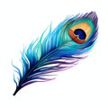 beautiful blue peacocks feather clipart illustration Royalty Free Stock Photo