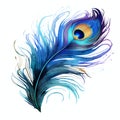 beautiful blue peacocks feather clipart illustration Royalty Free Stock Photo