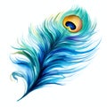 beautiful blue peacocks feather clipart illustration Royalty Free Stock Photo