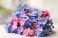 Beautiful blue and pink Forget-me-not flowers on white table Royalty Free Stock Photo