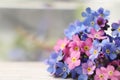 Beautiful blue and pink Forget-me-not flowers on white table. Space for text Royalty Free Stock Photo