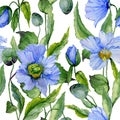 Beautiful blue poppy flowers with green leaves on white background. Seamless floral pattern. Watercolor painting. Royalty Free Stock Photo