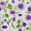 Beautiful blue and purple daisy flowers with closed buds and leaves on light green background. Seamless spring pattern. Royalty Free Stock Photo