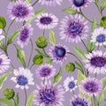 Beautiful blue and purple daisy flowers with closed buds and leaves on light lilac background. Seamless spring pattern. Royalty Free Stock Photo