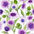 Beautiful blue and purple daisy flowers with green leaves on white background. Seamless spring pattern. Watercolor painting.
