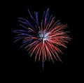 Beautiful blue and red fireworks exploding in the night sky, isolated on black background Royalty Free Stock Photo