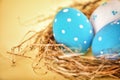 Rustic Blue Egg in the Hay Nest