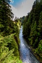 A Beautiful Blue River in a Primeval Rain Forest Royalty Free Stock Photo