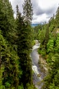 A Beautiful Blue River in a Primeval Rain Forest Royalty Free Stock Photo