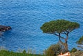 Beautiful blue sea in Vico Equense Napoli, Sorrento Coast, Italy Royalty Free Stock Photo