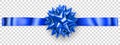 Beautiful blue shiny bow with horizontal ribbon with shadow