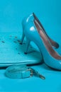 Beautiful blue shoes and handbag Royalty Free Stock Photo