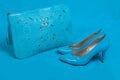 Beautiful blue shoes and handbag Royalty Free Stock Photo