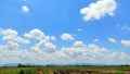 Beautiful blue sky background and beautiful white cloudy sky over the harvested rice fields. Summer sky. Royalty Free Stock Photo
